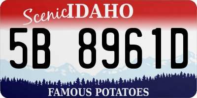 ID license plate 5B8961D