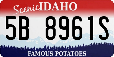 ID license plate 5B8961S