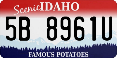 ID license plate 5B8961U