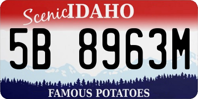 ID license plate 5B8963M