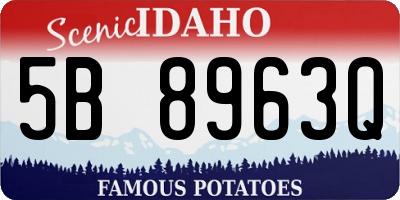 ID license plate 5B8963Q