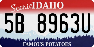ID license plate 5B8963U