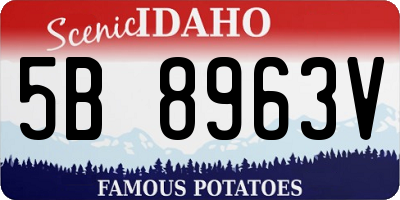 ID license plate 5B8963V