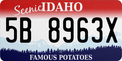 ID license plate 5B8963X