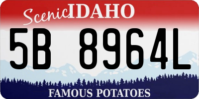 ID license plate 5B8964L