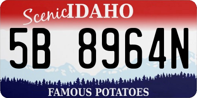 ID license plate 5B8964N