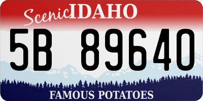 ID license plate 5B8964O
