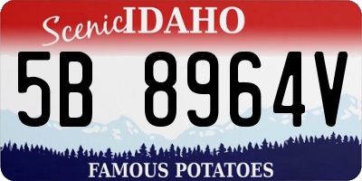 ID license plate 5B8964V