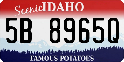 ID license plate 5B8965Q