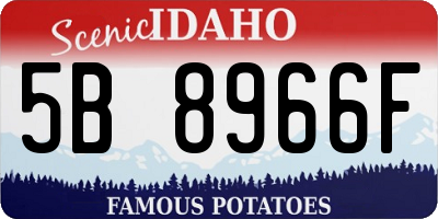 ID license plate 5B8966F