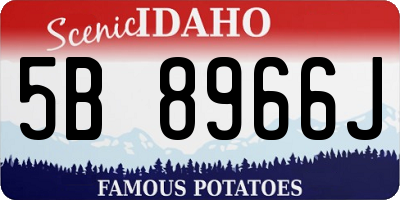 ID license plate 5B8966J