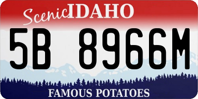ID license plate 5B8966M