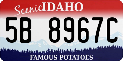 ID license plate 5B8967C