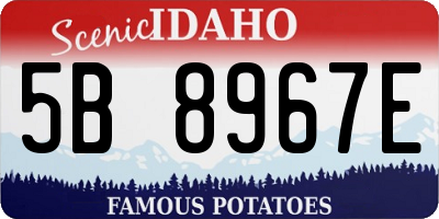 ID license plate 5B8967E