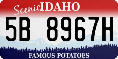 ID license plate 5B8967H