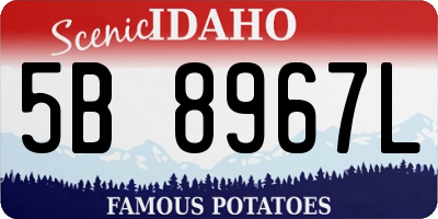 ID license plate 5B8967L