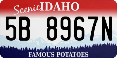 ID license plate 5B8967N