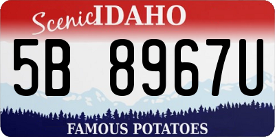 ID license plate 5B8967U