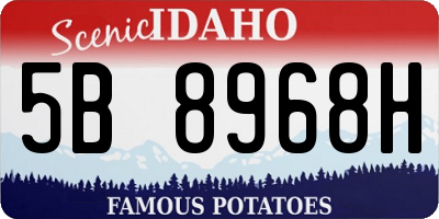 ID license plate 5B8968H