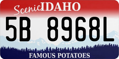 ID license plate 5B8968L