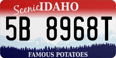ID license plate 5B8968T