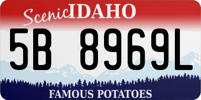 ID license plate 5B8969L