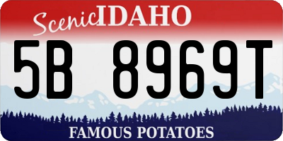 ID license plate 5B8969T