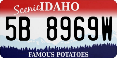 ID license plate 5B8969W