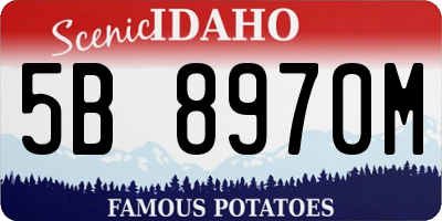 ID license plate 5B8970M