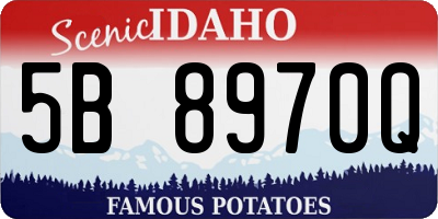 ID license plate 5B8970Q