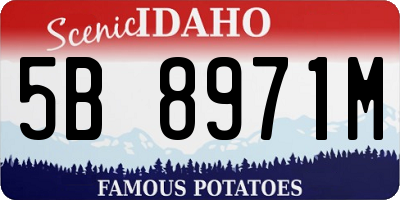 ID license plate 5B8971M