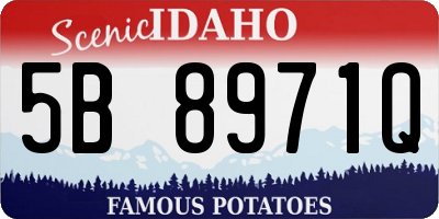 ID license plate 5B8971Q
