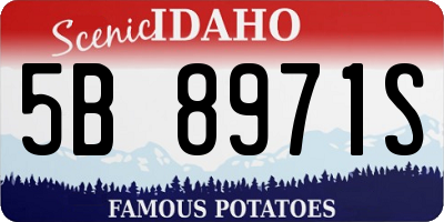 ID license plate 5B8971S