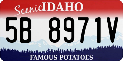 ID license plate 5B8971V