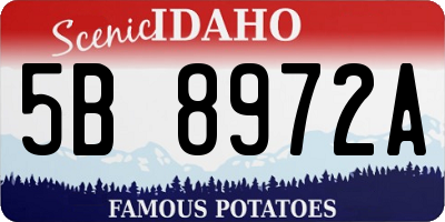 ID license plate 5B8972A