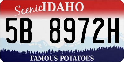 ID license plate 5B8972H