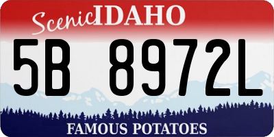 ID license plate 5B8972L
