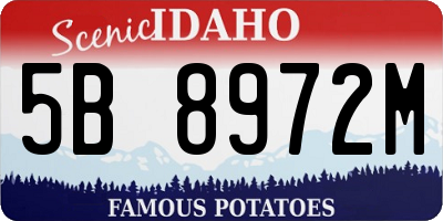 ID license plate 5B8972M
