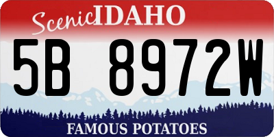 ID license plate 5B8972W