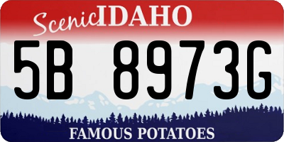 ID license plate 5B8973G