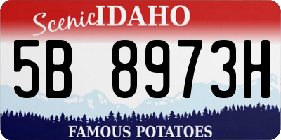 ID license plate 5B8973H