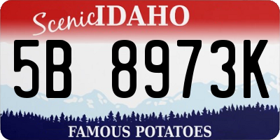 ID license plate 5B8973K