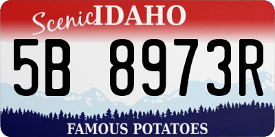 ID license plate 5B8973R