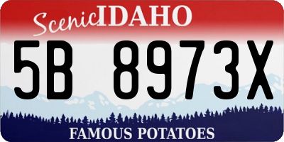 ID license plate 5B8973X
