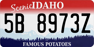 ID license plate 5B8973Z