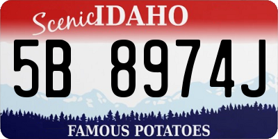 ID license plate 5B8974J