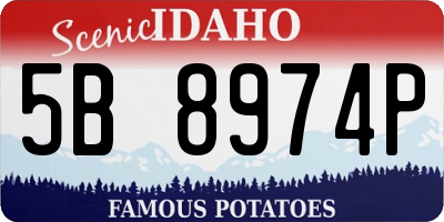 ID license plate 5B8974P