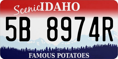 ID license plate 5B8974R