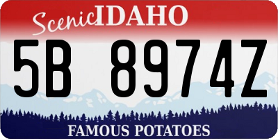 ID license plate 5B8974Z