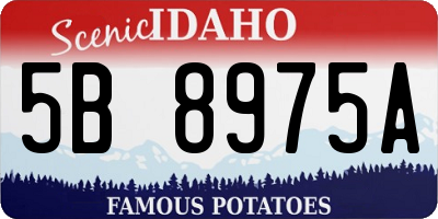 ID license plate 5B8975A